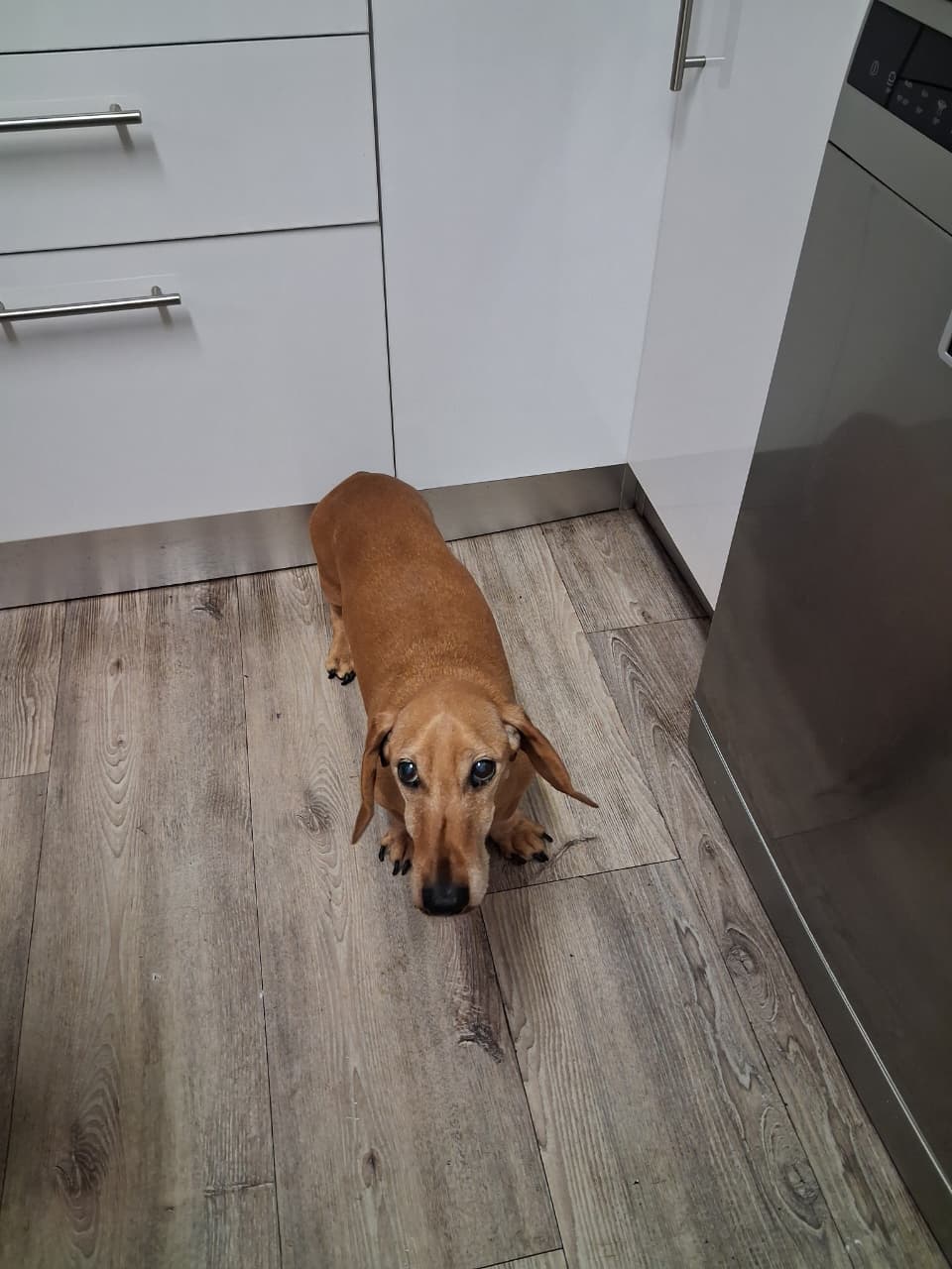 Kasco