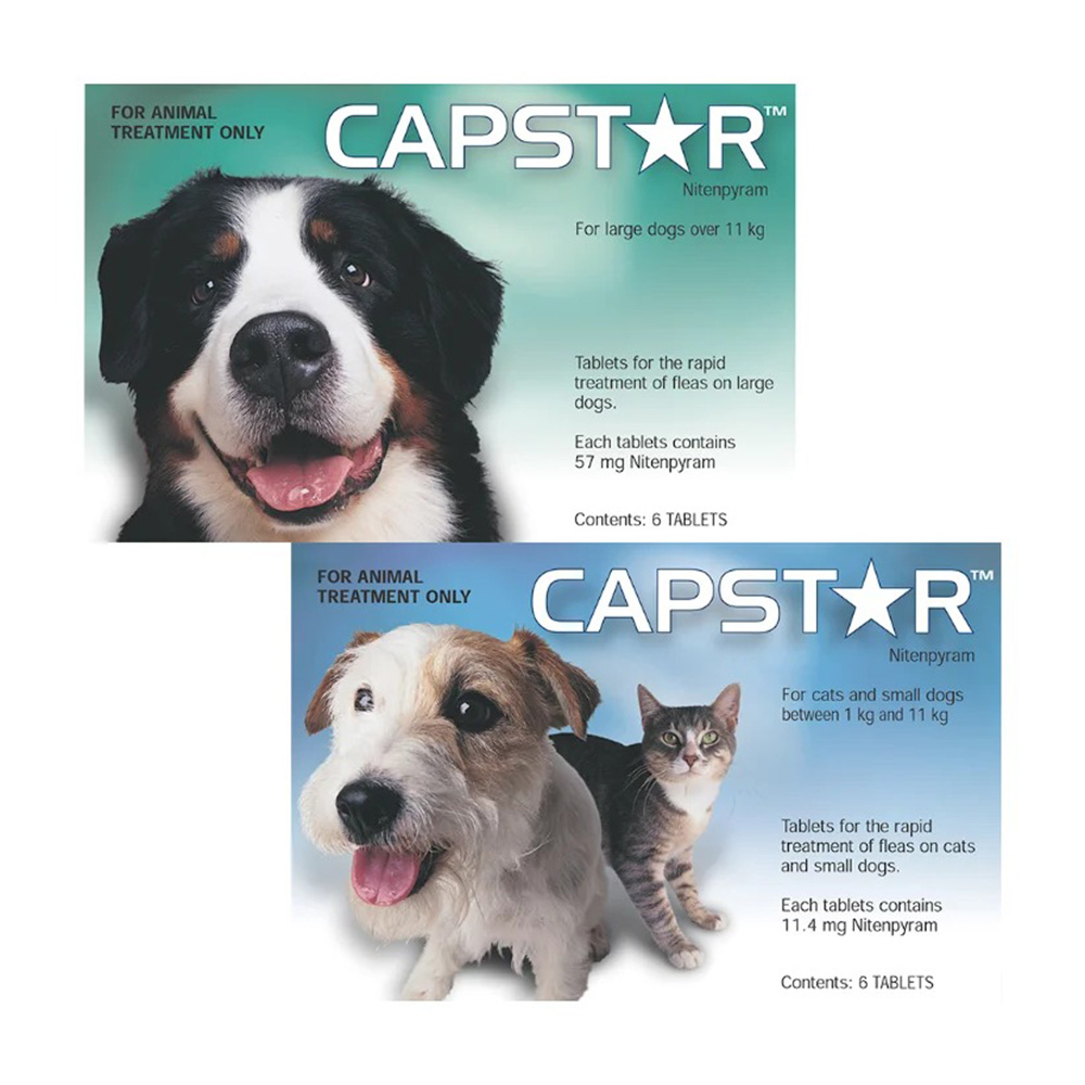 Capstar Over 11kg Single