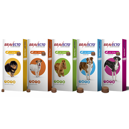 Bravecto Chew Dog 2-4.5kg