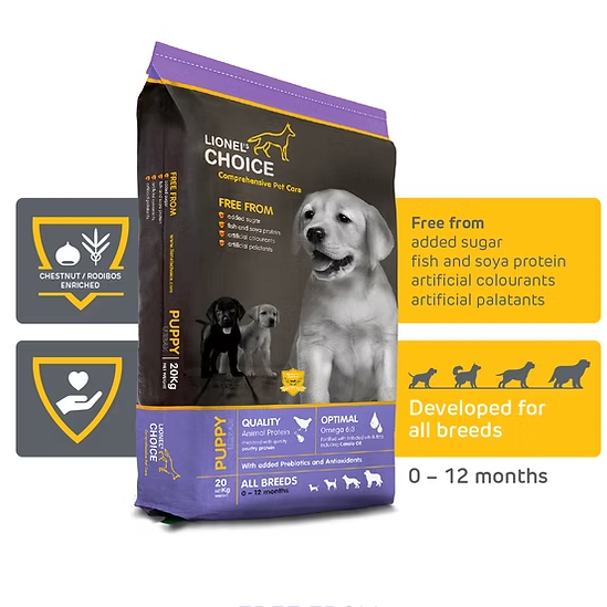 Lionel’s Choice Dog Puppy