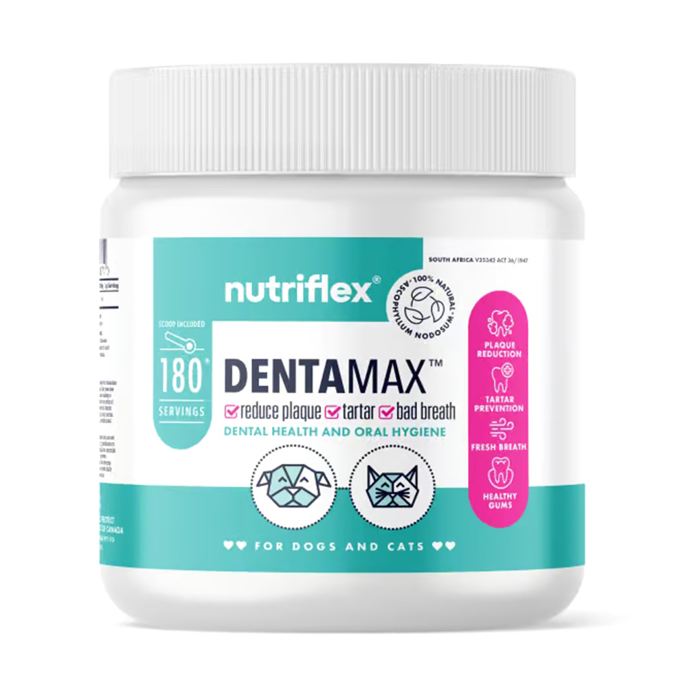 Nutriflex DentaMax 180g